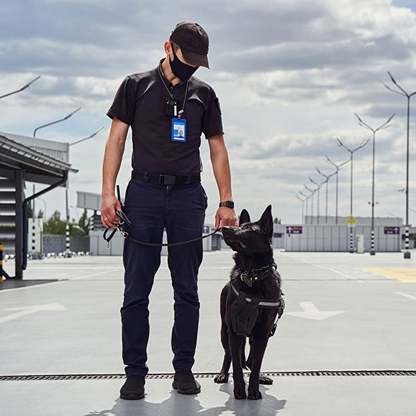 Mobile Security Dog Patrol